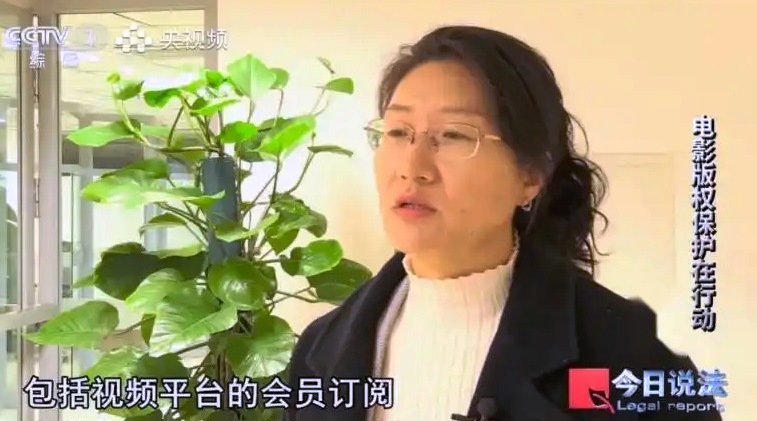 《今日说法》聚焦:盗版泛滥破坏影视行业生态